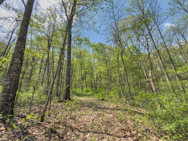 0 Beardmore Road, Jerusalem, OH 43747 Photo 35