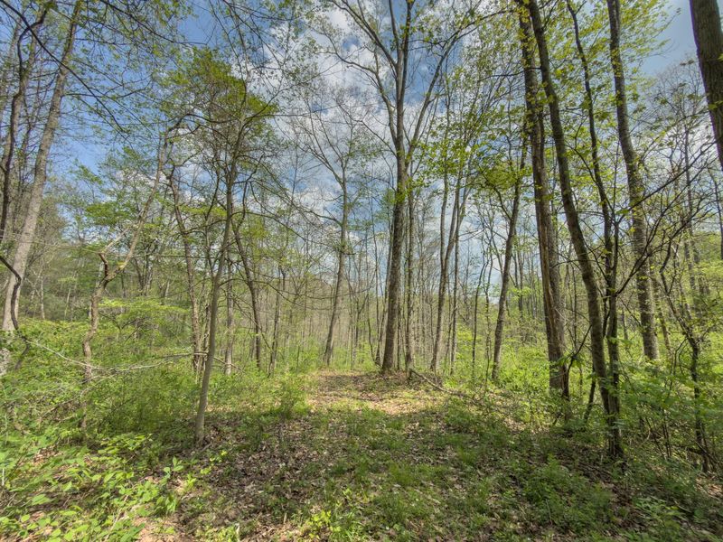 0 Beardmore Road, Jerusalem, OH 43747 Photo 36