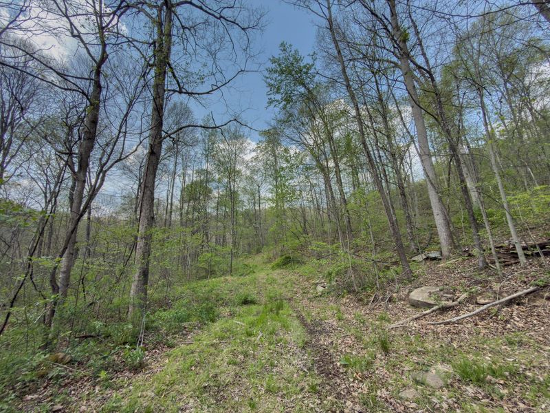 0 Beardmore Road, Jerusalem, OH 43747 Photo 38