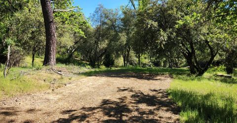 Morning Canyon Rd, Placerville, CA 95667 Photo