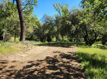 Morning Canyon Rd, Placerville, CA 95667 Photo