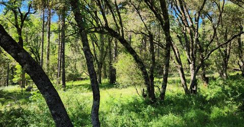 Morning Canyon Rd, Placerville, CA 95667 Photo