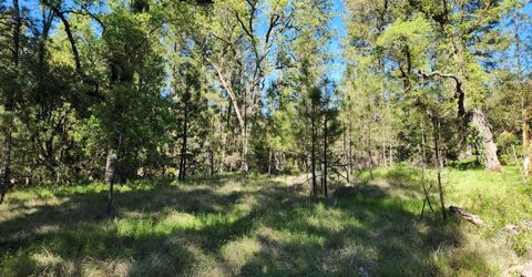 Morning Canyon Rd, Placerville, CA 95667 Photo