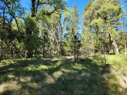 Morning Canyon Rd, Placerville, CA 95667 Photo