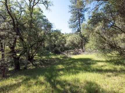 Morning Canyon Rd, Placerville, CA 95667 Photo