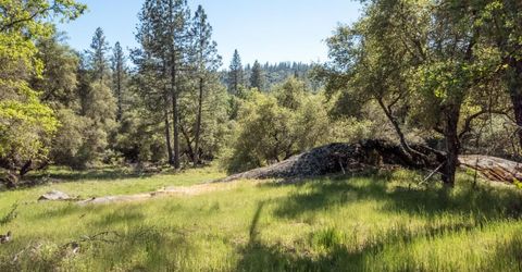 Morning Canyon Rd, Placerville, CA 95667 Photo