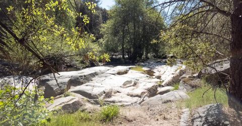 Morning Canyon Rd, Placerville, CA 95667 Photo