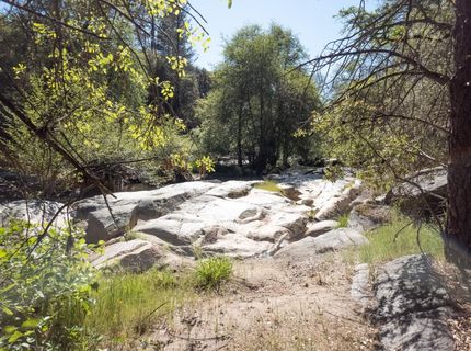 Morning Canyon Rd, Placerville, CA 95667 Photo