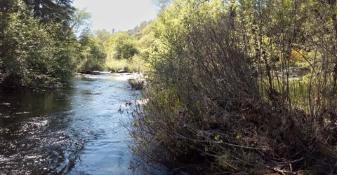 Morning Canyon Rd, Placerville, CA 95667 Photo