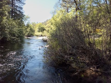 Morning Canyon Rd, Placerville, CA 95667 Photo