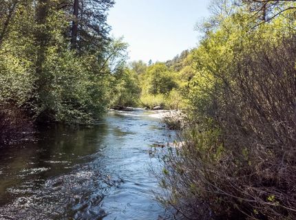 Morning Canyon Rd, Placerville, CA 95667 Photo