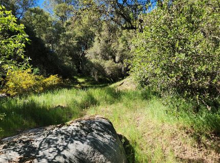 Morning Canyon Rd, Placerville, CA 95667 Photo