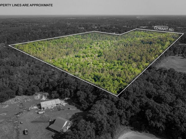 74 +/- Ac Cowart Rd., Lucedale, MS 39452