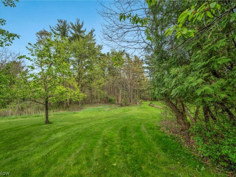 7973 Skyline Drive, Broadview Heights, OH 44147 Photo 48