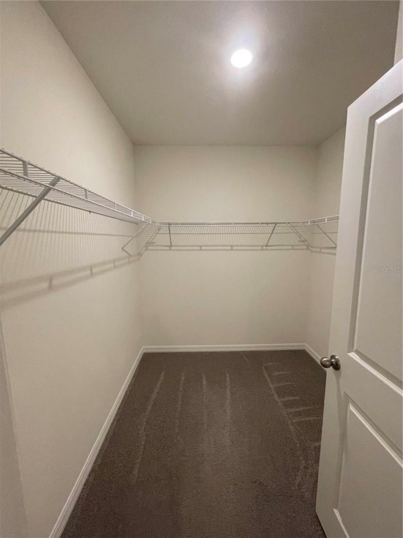 33724 Jasmine Star Loop, Wesley Chapel, FL 33543 Photo