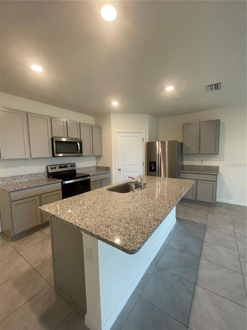 33724 Jasmine Star Loop, Wesley Chapel, FL 33543 Photo