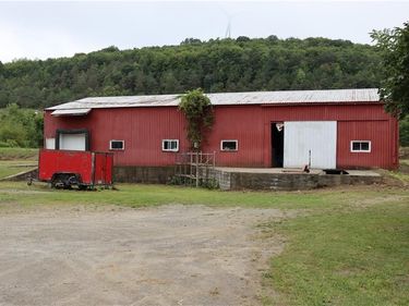 52 North Dansville Street, Cohocton, NY 14826