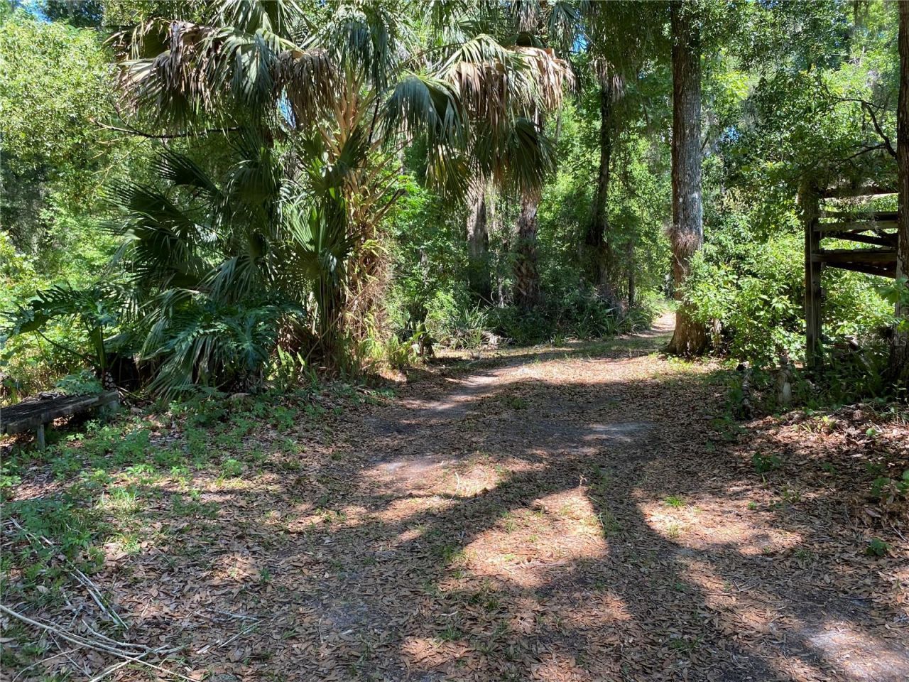 2424 NE 170th Street, Citra, FL 32113 Photo