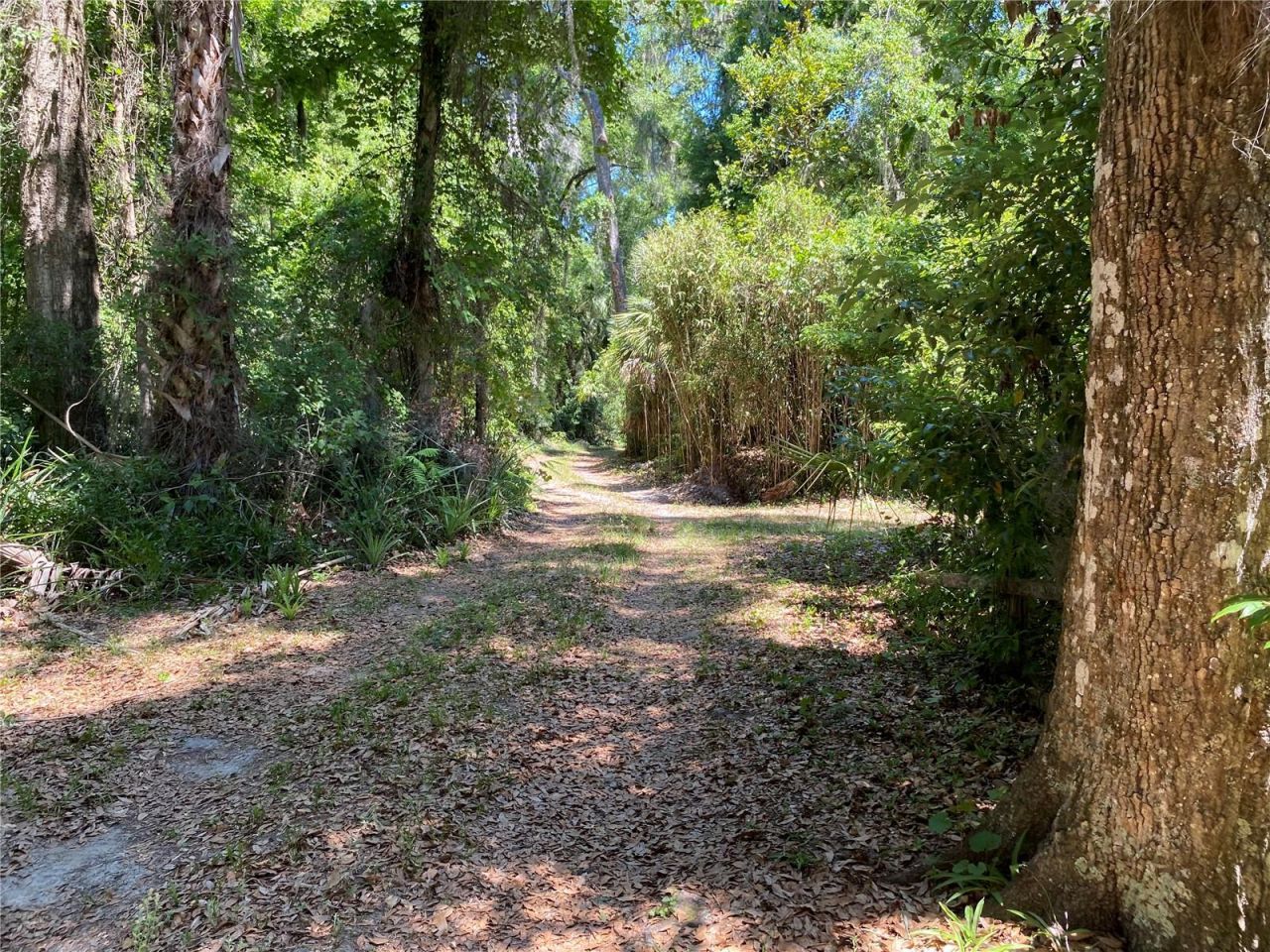2424 NE 170th Street, Citra, FL 32113 Photo