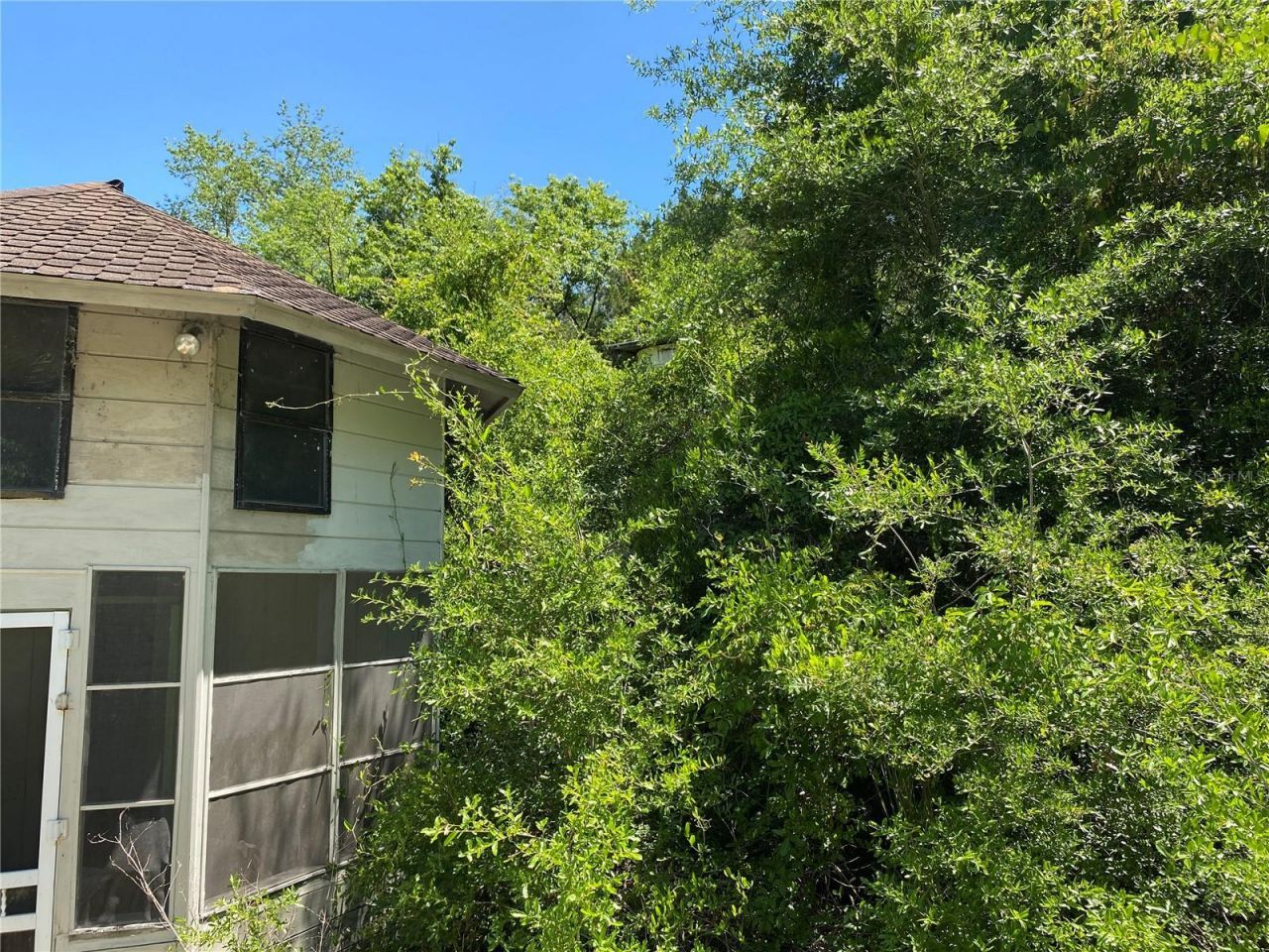 2424 NE 170th Street, Citra, FL 32113 Photo