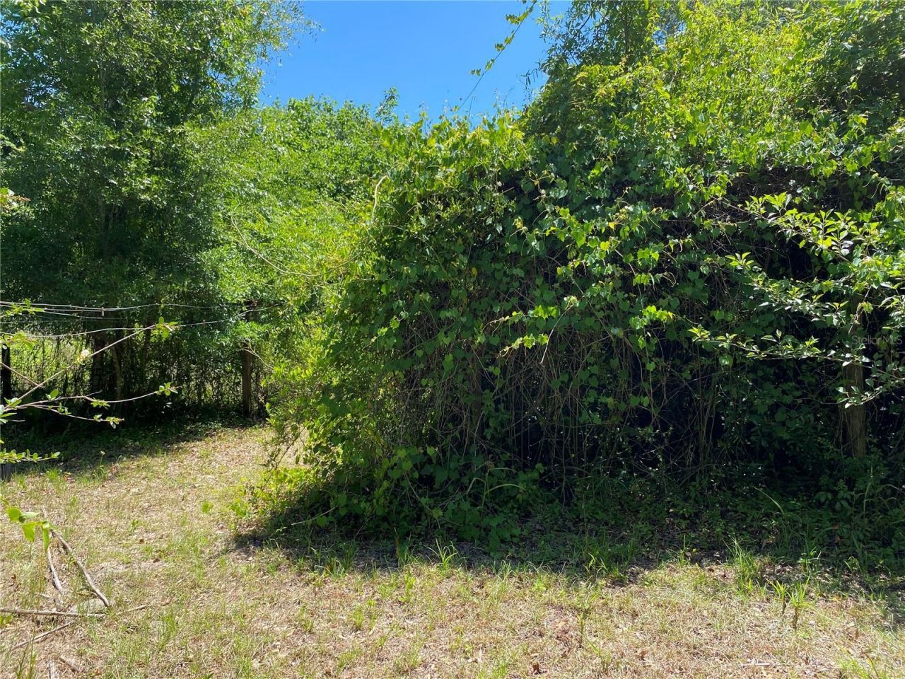 2424 NE 170th Street, Citra, FL 32113 Photo