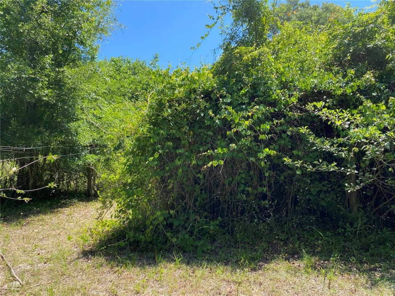 2424 NE 170th Street, Citra, FL 32113 Photo