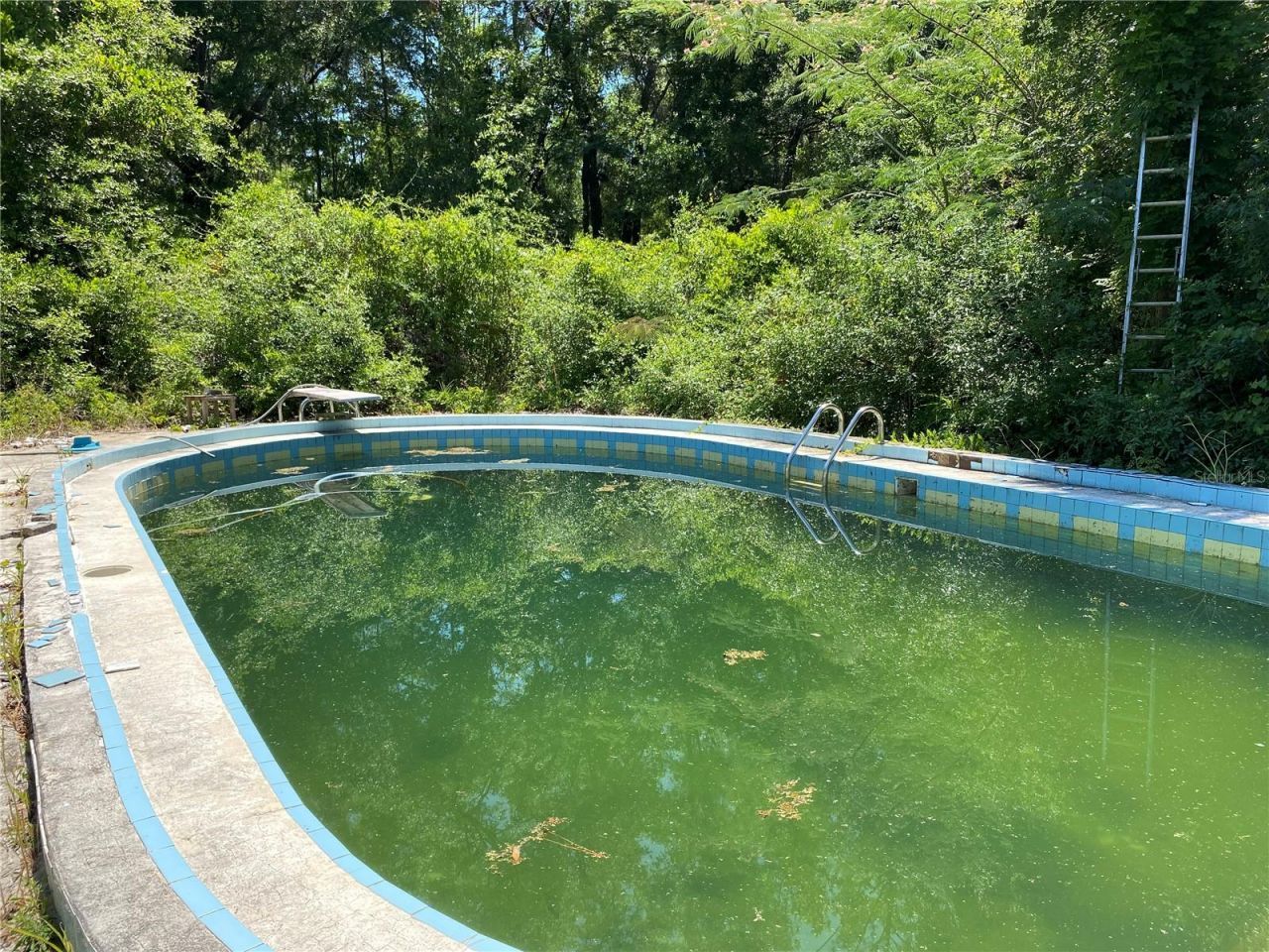 2424 NE 170th Street, Citra, FL 32113 Photo
