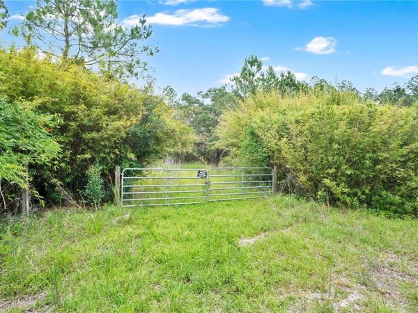 7831 NE 132ND PLACE, CITRA, FL 32113