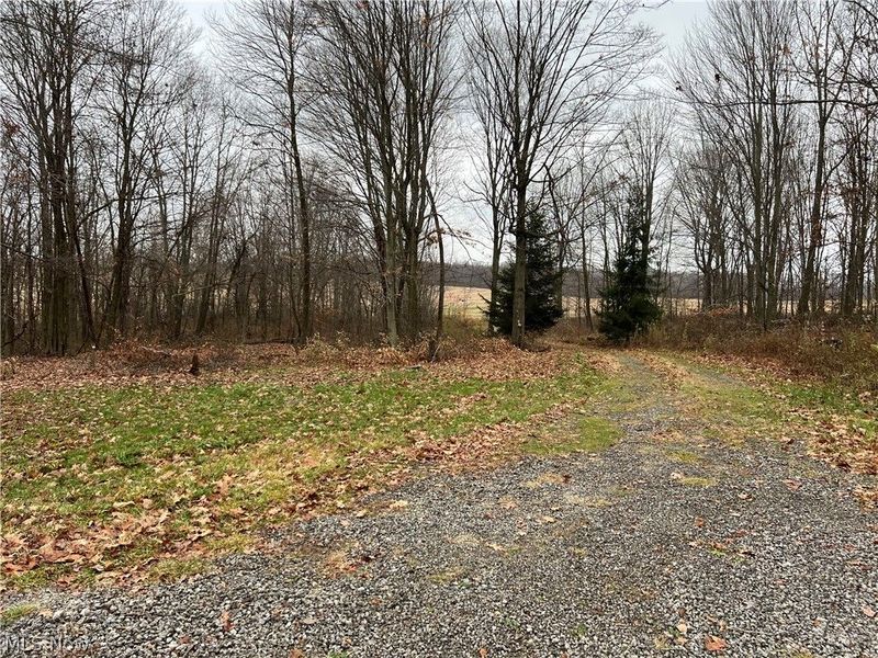 31293 Speidel Road, Hanoverton, OH 44423 Photo 2