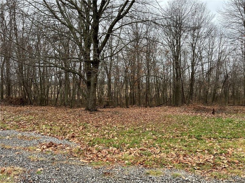 31293 Speidel Road, Hanoverton, OH 44423 Photo 3