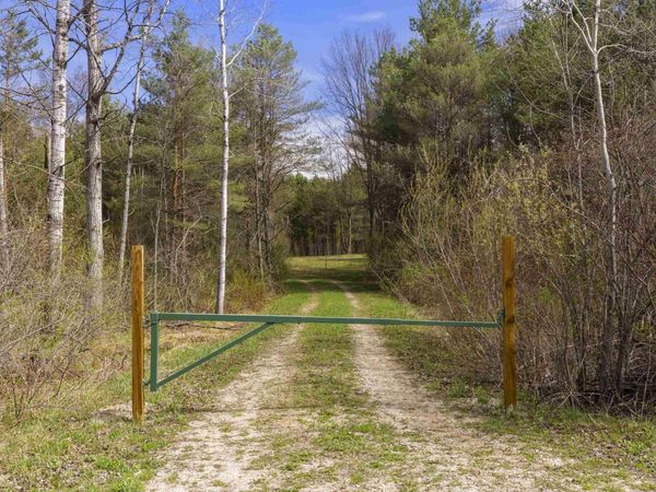 Dzuibanek Road, Thompsonville, MI 49683