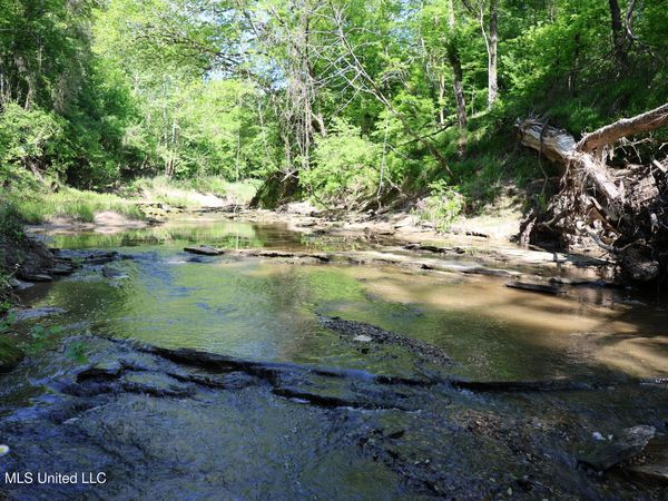 1060 Pearline Bailey Road, Port Gibson, MS 39150