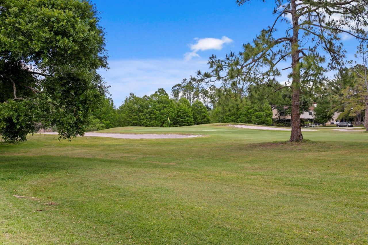 16701 E Course Drive, Tampa, FL 33624 Photo