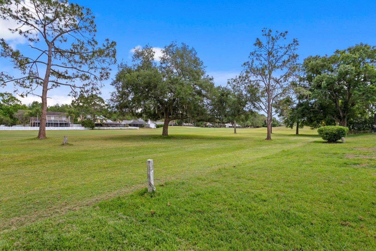 16701 E Course Drive, Tampa, FL 33624 Photo