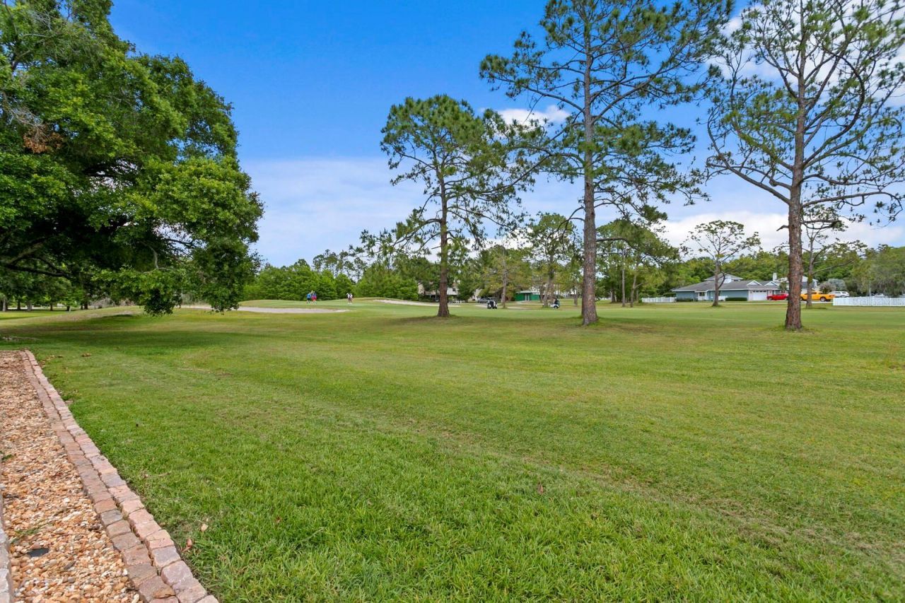 16701 E Course Drive, Tampa, FL 33624 Photo