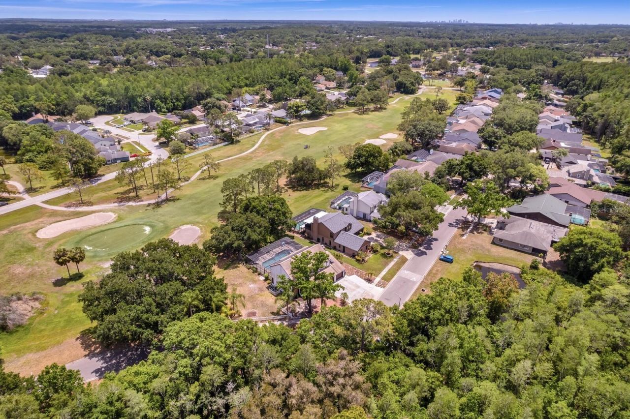 16701 E Course Drive, Tampa, FL 33624 Photo