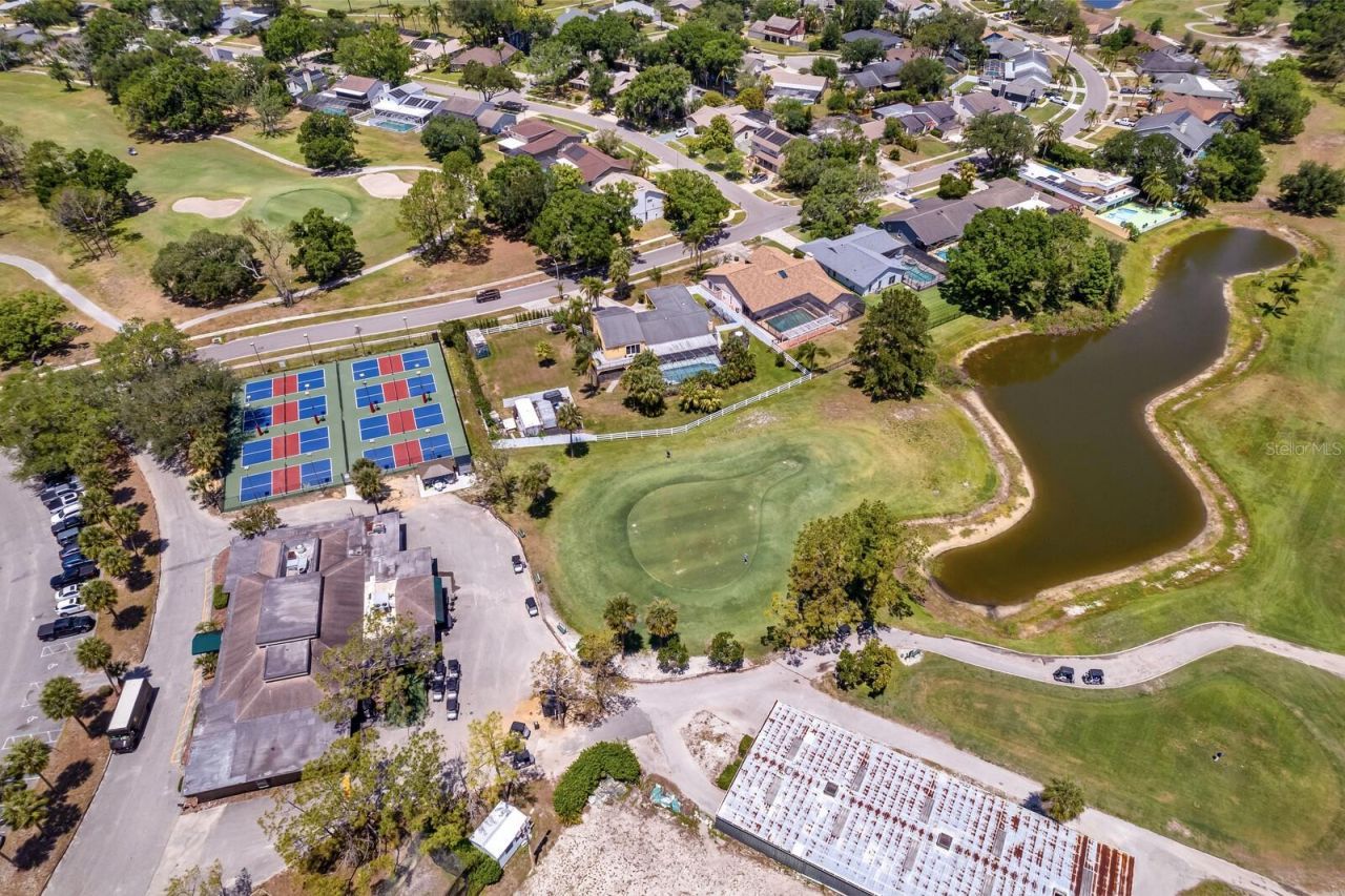 16701 E Course Drive, Tampa, FL 33624 Photo