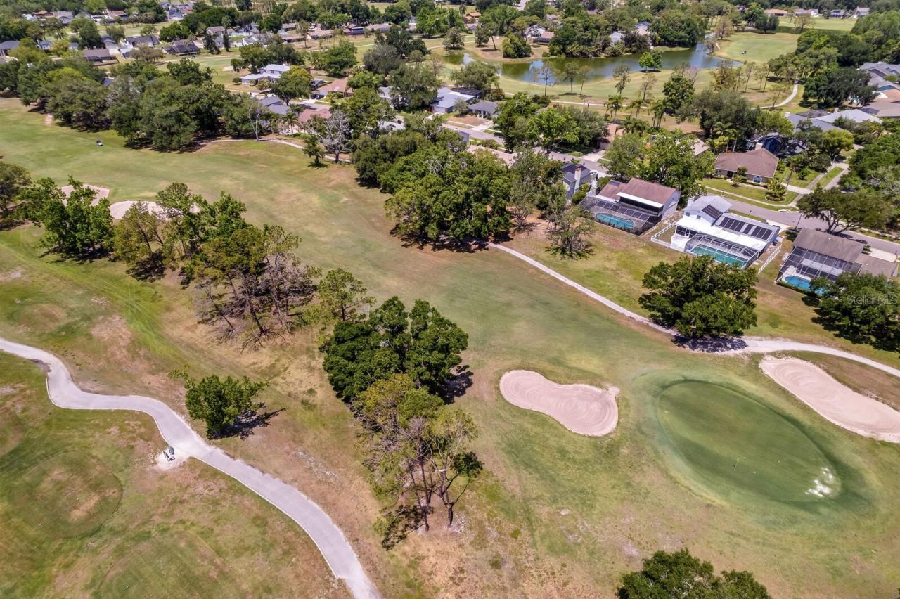 16701 E Course Drive, Tampa, FL 33624 Photo