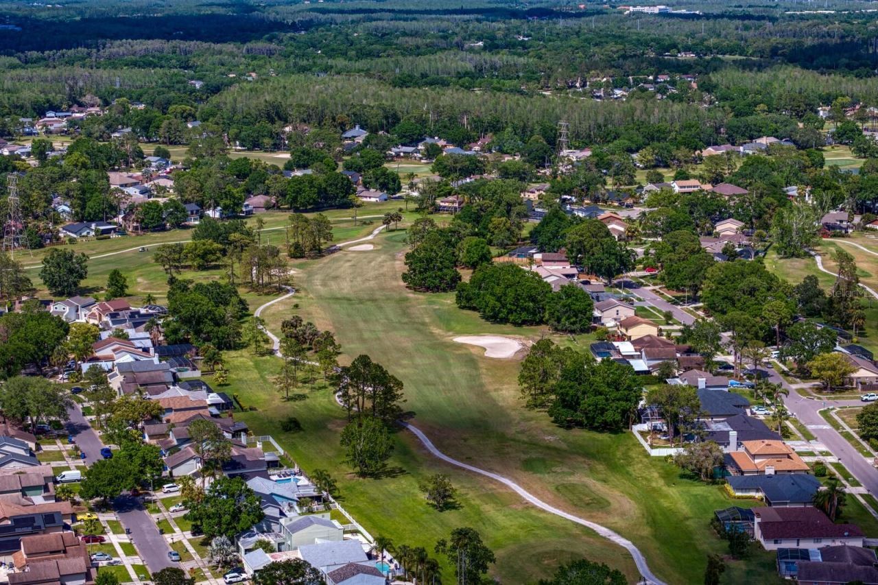 16701 E Course Drive, Tampa, FL 33624 Photo