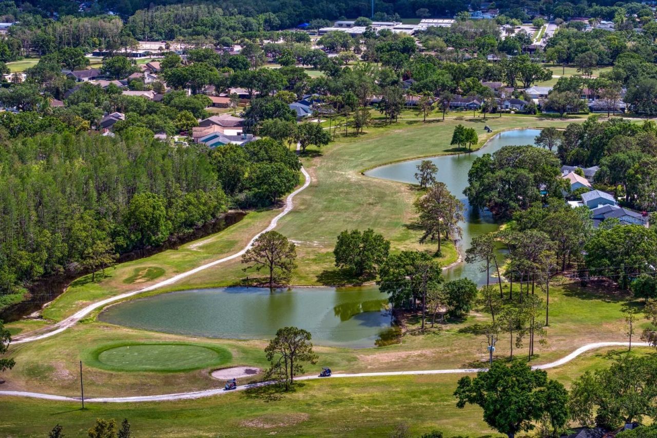 16701 E Course Drive, Tampa, FL 33624 Photo
