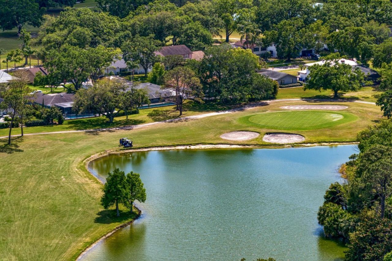 16701 E Course Drive, Tampa, FL 33624 Photo