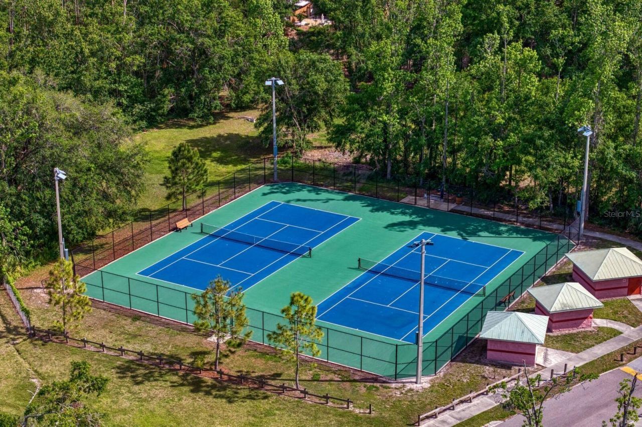 16701 E Course Drive, Tampa, FL 33624 Photo