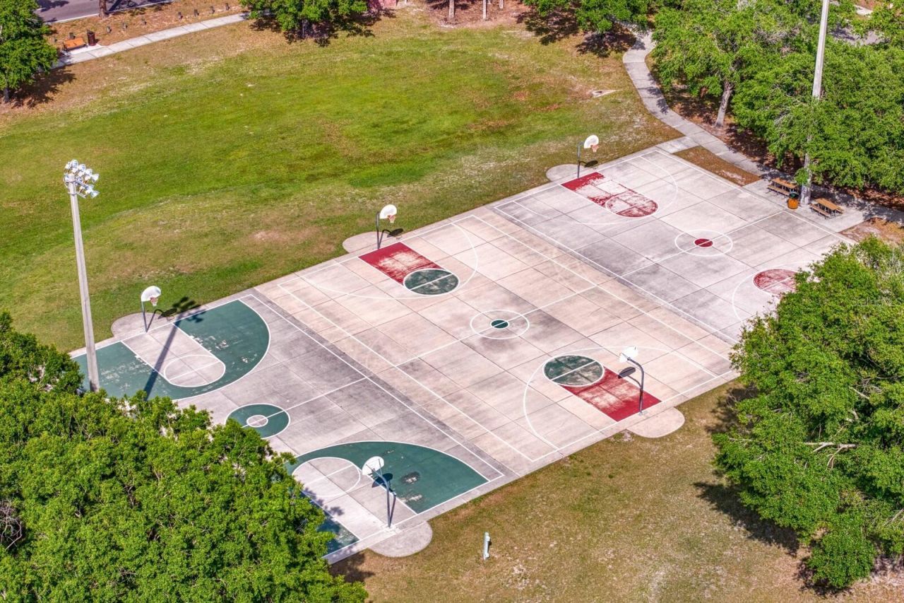 16701 E Course Drive, Tampa, FL 33624 Photo
