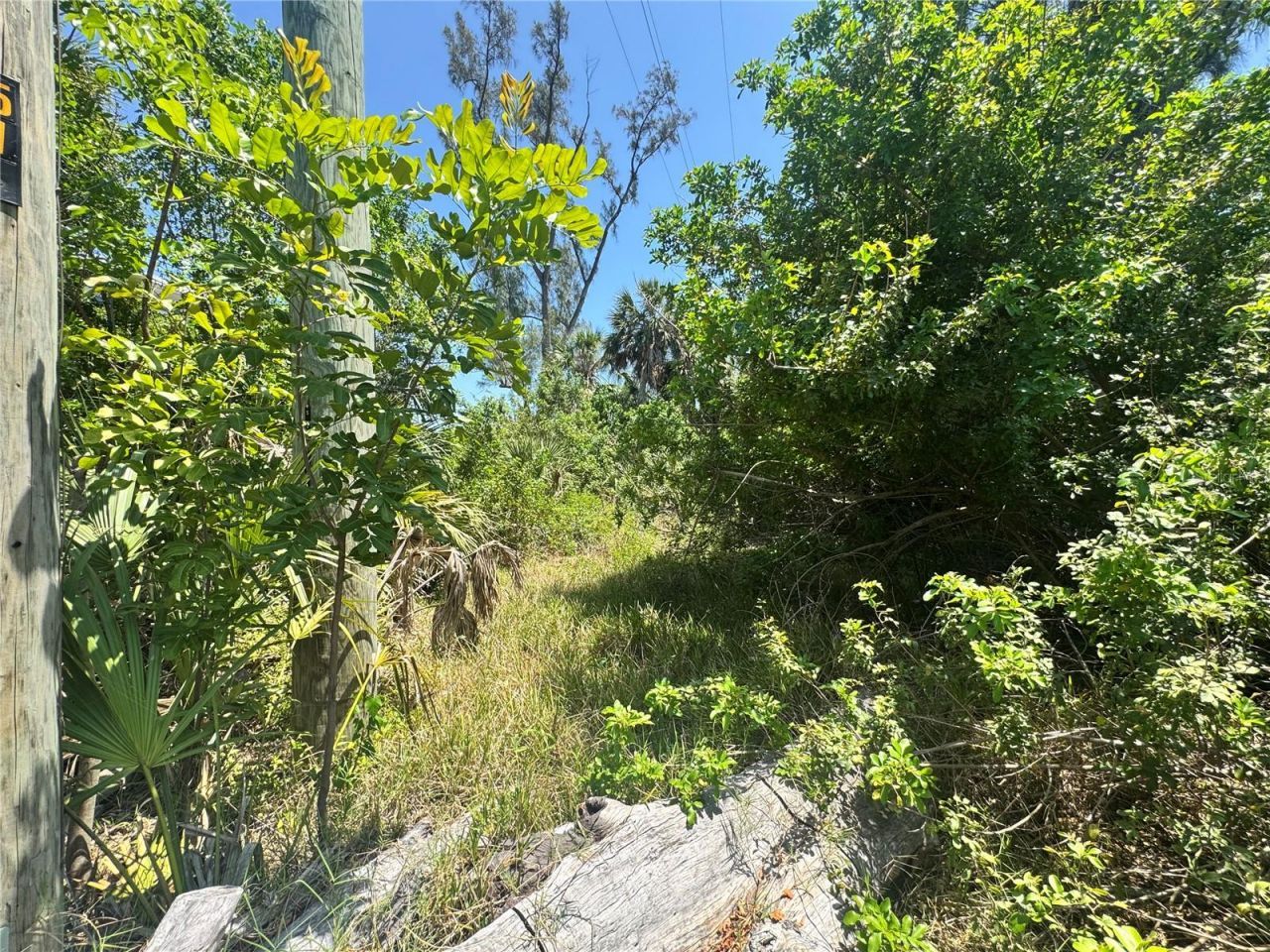 8992 Seagrape Lane , Placida, FL 33946 Photo