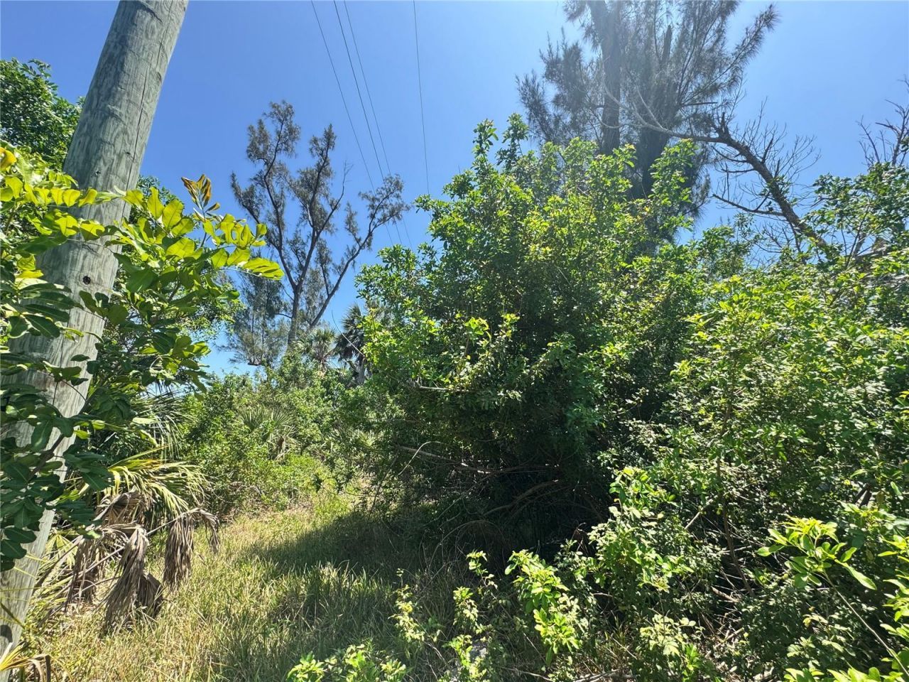 8992 Seagrape Lane , Placida, FL 33946 Photo