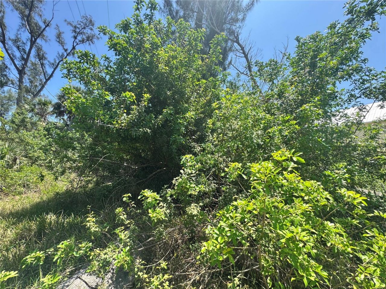 8992 Seagrape Lane , Placida, FL 33946 Photo