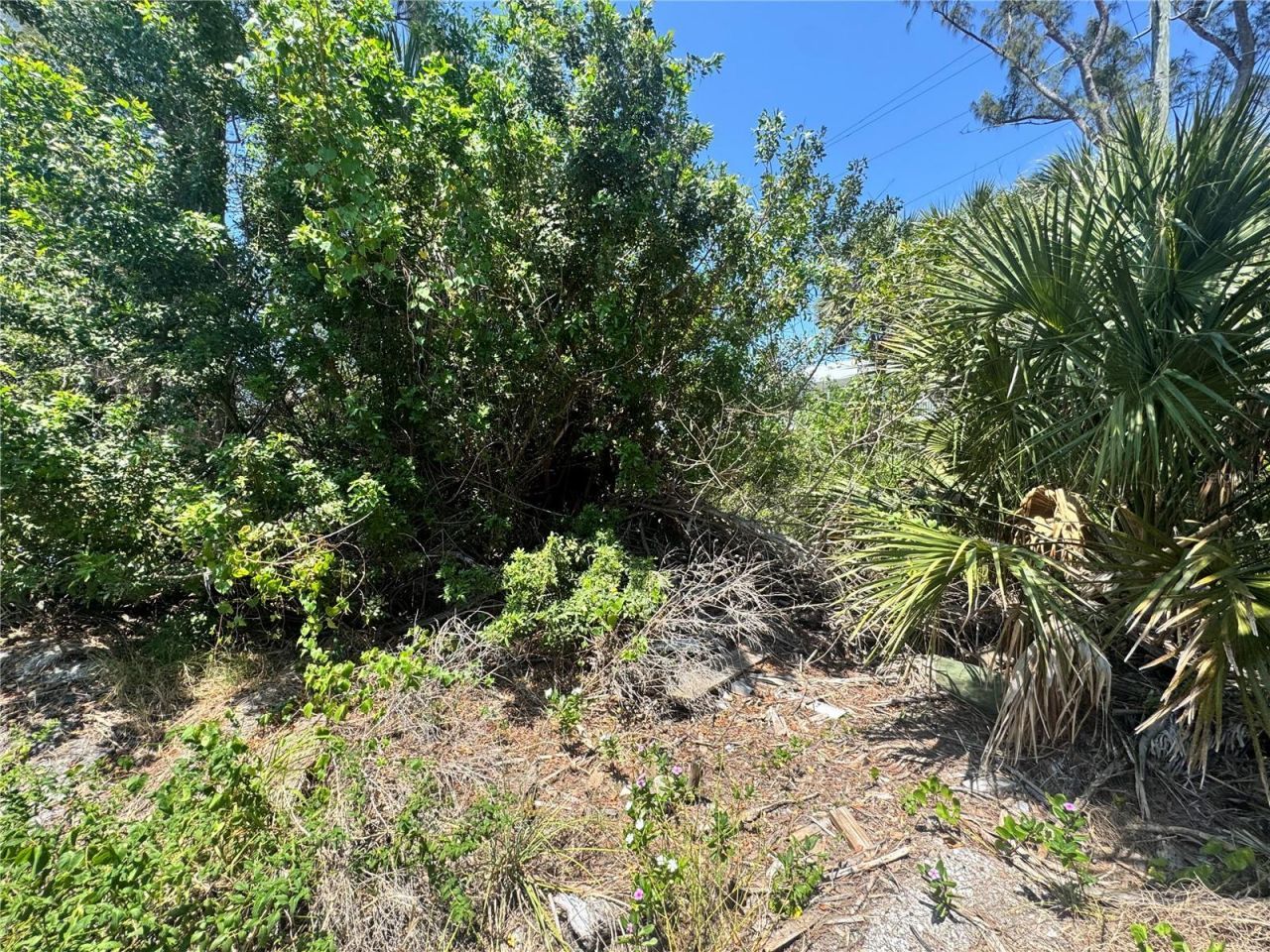 8992 Seagrape Lane , Placida, FL 33946 Photo