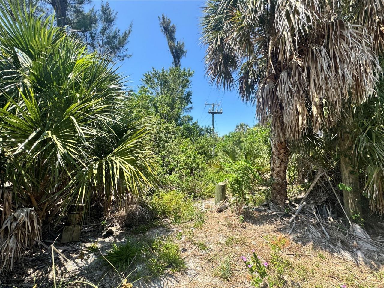 8992 Seagrape Lane , Placida, FL 33946 Photo