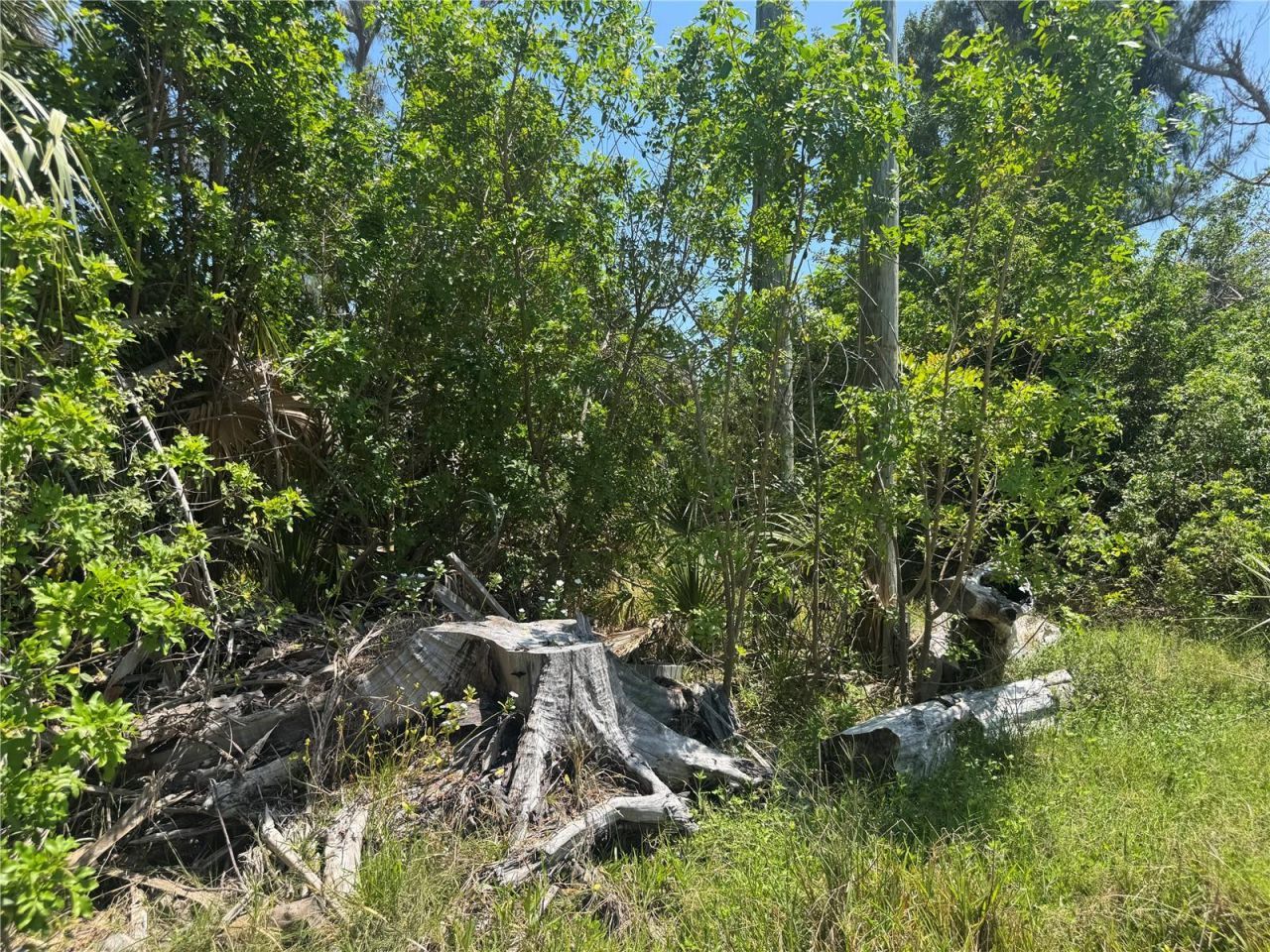 8992 Seagrape Lane , Placida, FL 33946 Photo