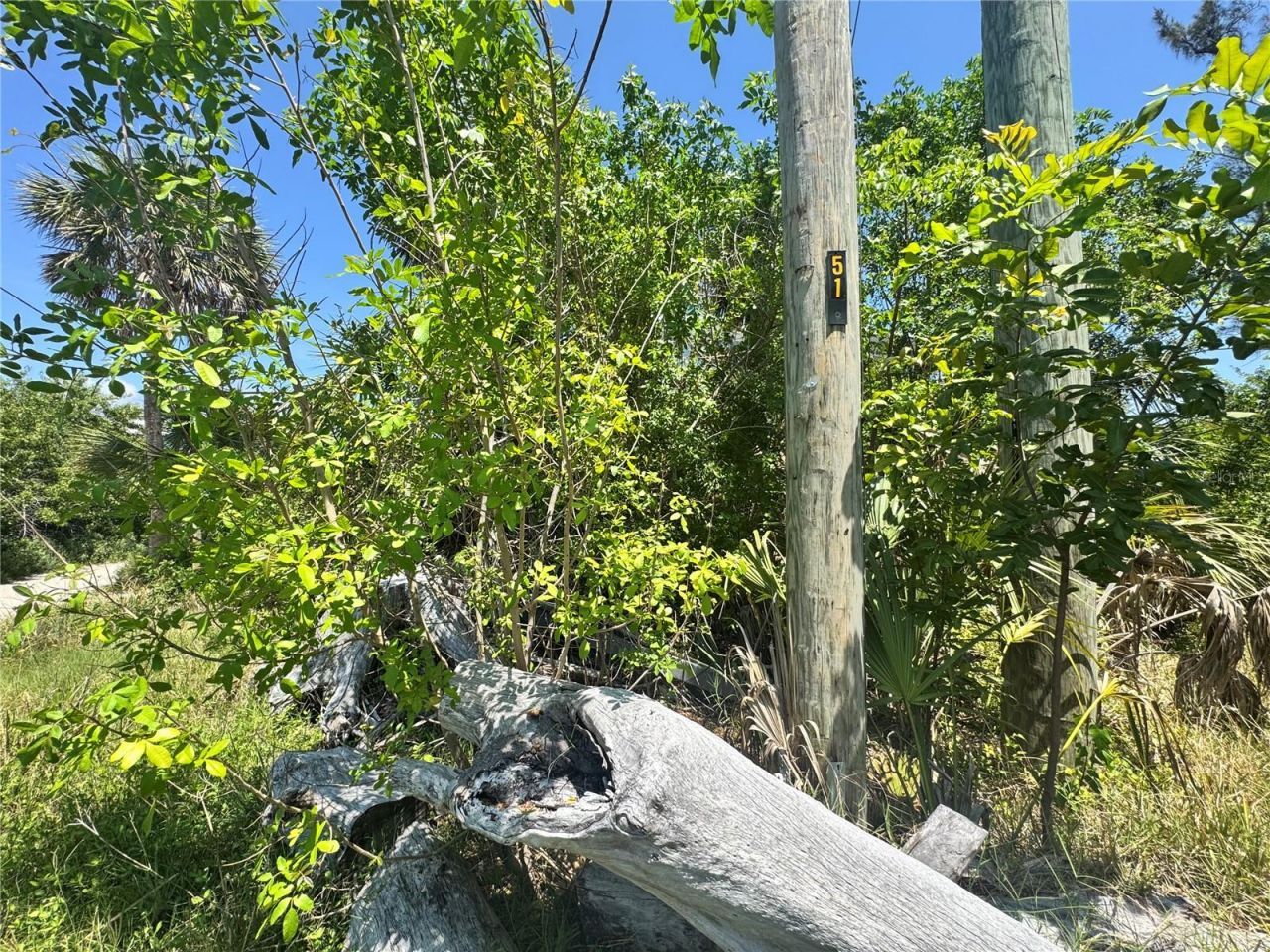 8992 Seagrape Lane , Placida, FL 33946 Photo